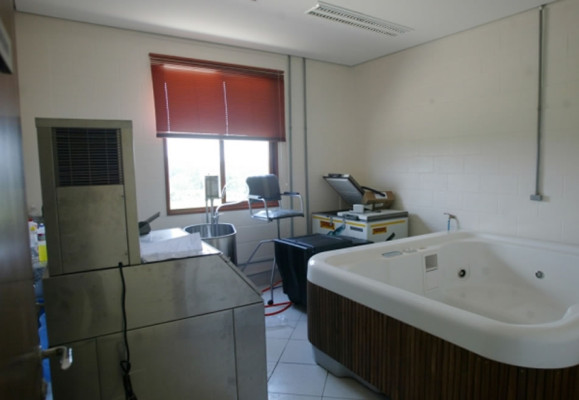 Porto Feliz será la sede de Honduras en Brasil 2014