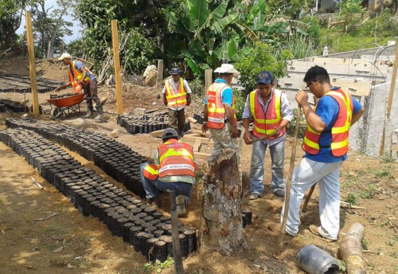 Forman a productores de El Merendón
