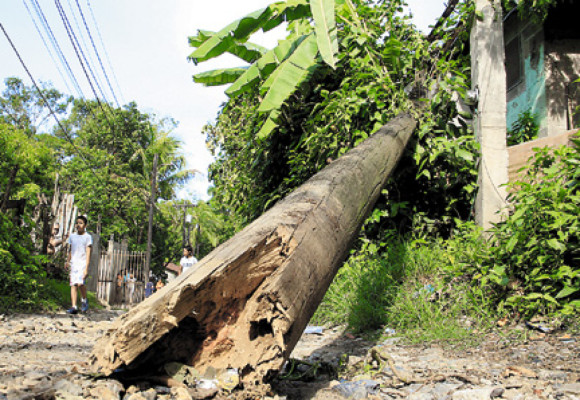 Daños en 15 colonias por tormenta en San Pedro