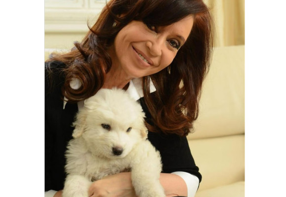 Simón, el perro prometido por Chávez a Kirchner, causa furor en redes sociales