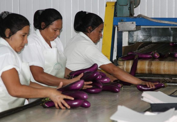 IFC lleva invertidos $1,100 millones