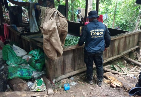 Honduras localiza cultivos de hoja de coca y un narcolaboratorio