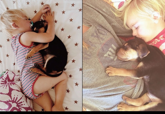 Fotos del bebé Beau que duerme con su perro Theo