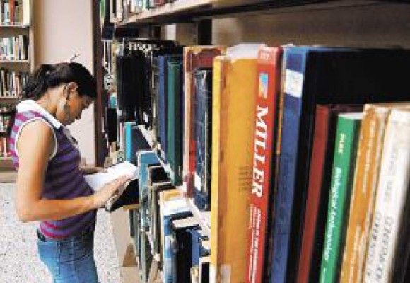 Becas para estudiar en España