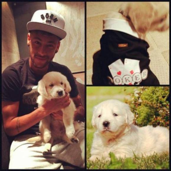 Neymar Jr y su perrito ‘Poker’.