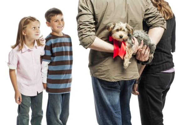 Descubra si su hijo está listo para tener un perrito