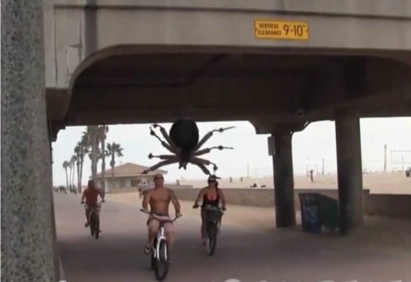 Broma con araña gigante aterroriza a las víctimas