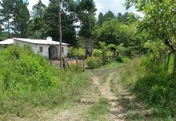 Dos horas habría durado operativo contra Mario Zelaya