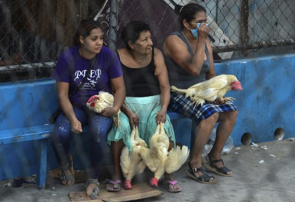 Women sit after receiving hens given by Honduran presidential pre-candidate for LIBRE party, Wilfredo Mendez, at the working-class neighbourhood of El Carrizal, in Tegucigalpa on May 7, 2020, amid the new coronavirus pandemic. (Photo by ORLANDO SIERRA / AFP)