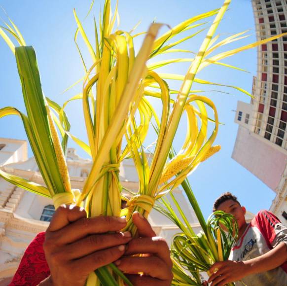 Rubio indicó que la pobreza en la que viven en su comunidad los obliga a viajar todos los años a Tegucigalpa a vender sus ramos y cruces de palma.
