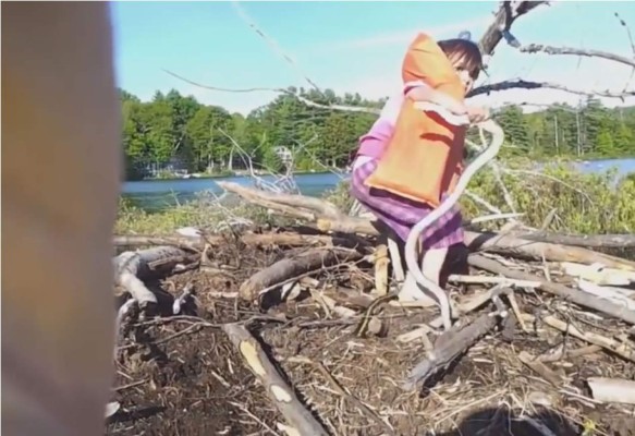 '¡Papa, mira lo qué he encontrado!'...una serpiente