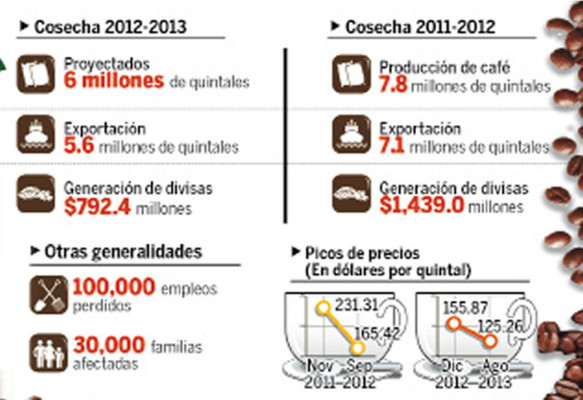 Productores de café ven con esperanza la cosecha 2013-2014