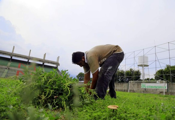 Así de descuidado está el estadio del Marathón por falta de dinero