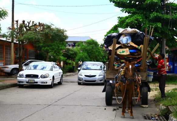 Organizarán a carreteros para que recojan basura