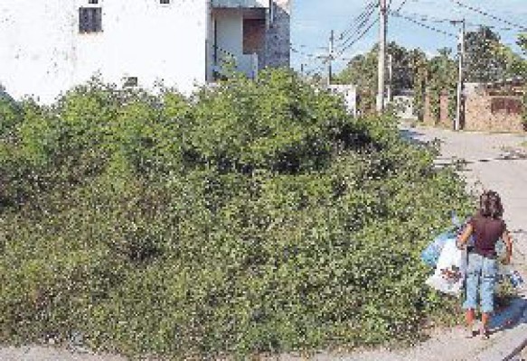 Atemorizados por solar baldío