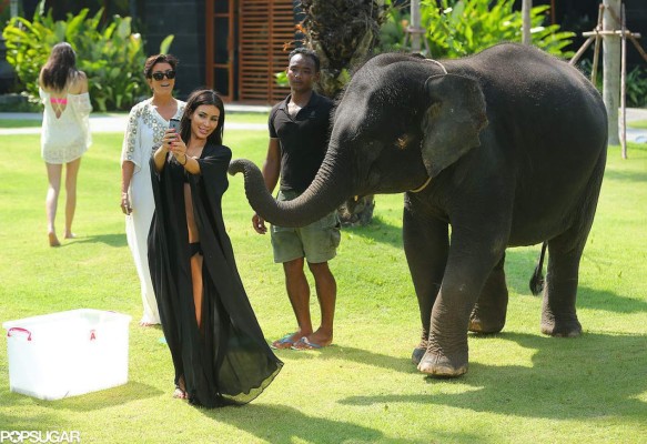 Kim Kardashian fue atacada por un elefante