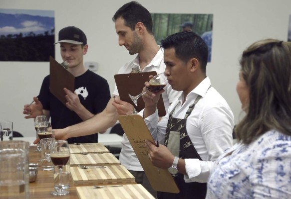 Extranjeros se disputan cafés de cosecha tardía