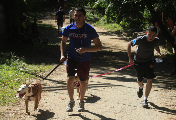 Pitbulls lo dieron todo en el segundo DogRun en San Pedro Sula
