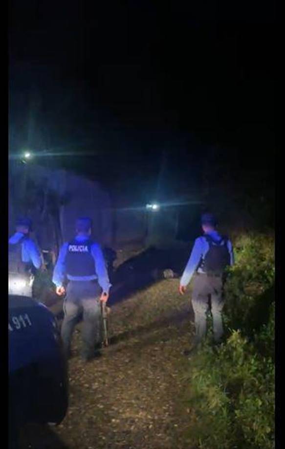 Según testigos, Andino fue perseguido por sus agresores hasta que, acorralado, recibió múltiples disparos que le causaron la muerte al instante. 