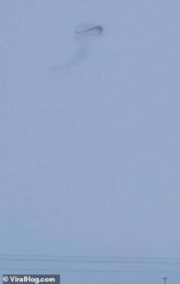 “Mientras dábamos de comer a nuestras vacas en una tarde muy fría en nuestra granja y rancho al norte de Lambert, Montana, mi esposo y yo vimos un anillo negro flotando en el cielo.”<br/><br/>Llevándolos a preguntar: ‘¿Extraterrestres o un eructo de pozo de petróleo?