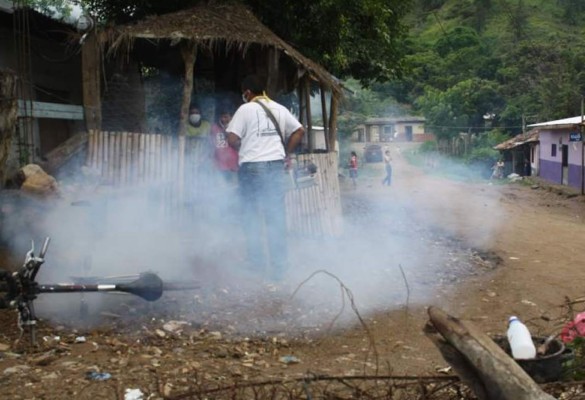Engrandecen escudo contra la chikungunya en San Pedro Sula