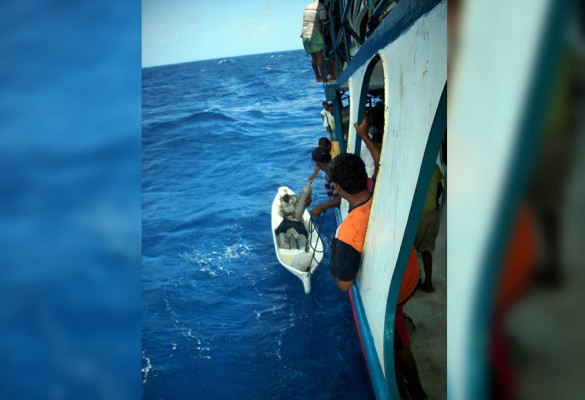 Más de 3,000 buzos misquitos se quedan sin trabajo por veda