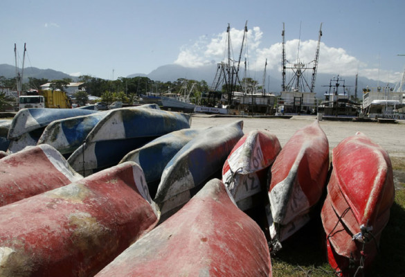 Más de 3,000 buzos misquitos se quedan sin trabajo por veda