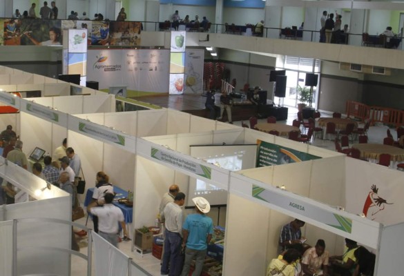 Negocios millonarios dejó la feria de Agromercados en San Pedro Sula