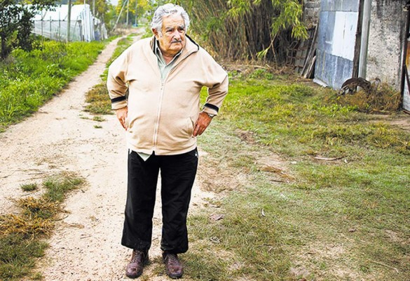 Uruguay corteja inversiones para usos no recreativos de la marihuana