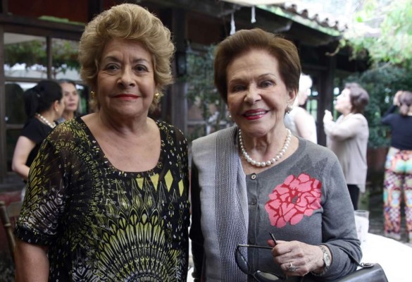 Damas capitalinas apoyan a la fundación Hogar Diamante