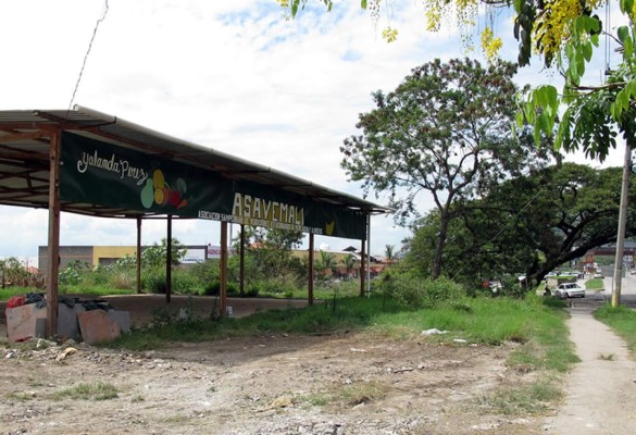 Alcaldía de San Pedro Sula aún puede ganar el litigio por terreno