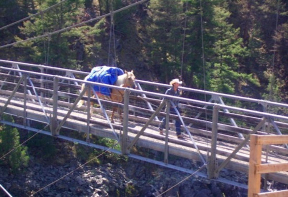 A caballo de Canadá a Brasil para demostrar que todavía hay gente buena