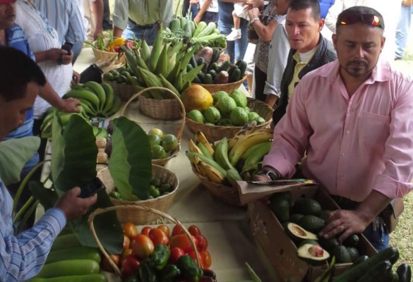 Juan Orlando Hernández socializa reactivación del agro hondureño