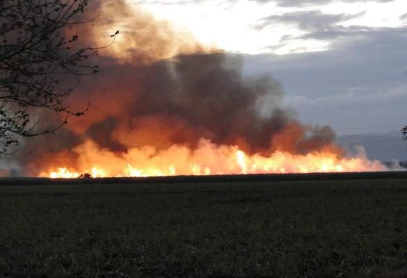 Piden parar quemas de cañeras para evitar contaminación