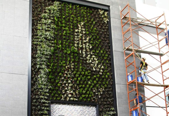 Altara abre sus puertas a los sampedranos desde el 2 de agosto