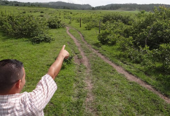 Resurgen diferencias por construcción de aeródromo en Copán