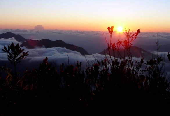 La Ceiba será destino turístico 'top ten” de América Latina
