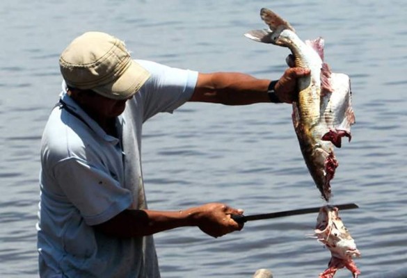 BID confirma 168 millones para el golfo de Fonseca