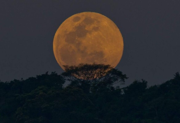 Así se ve la última superluna del año