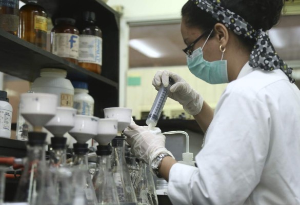 Menos palma y más maíz y frijoles, recomienda experto