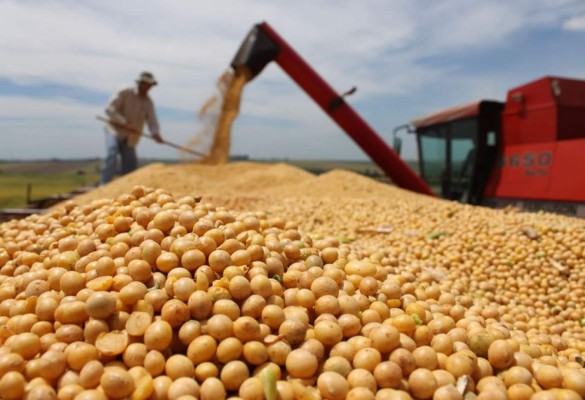 La cosecha de soya argentina abulta las arcas del gobierno