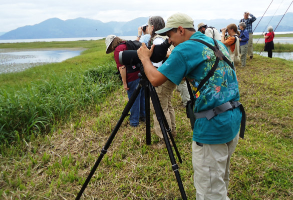 El aviturismo se abre camino en Honduras