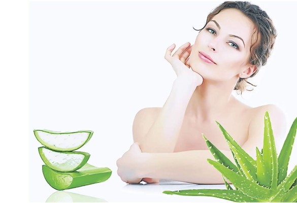 Aloe vera, el secreto de la eterna juventud