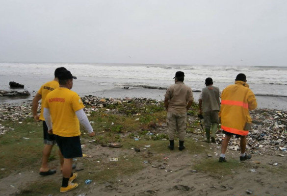 En Choloma y Puerto Cortés se reportan caídas de árboles