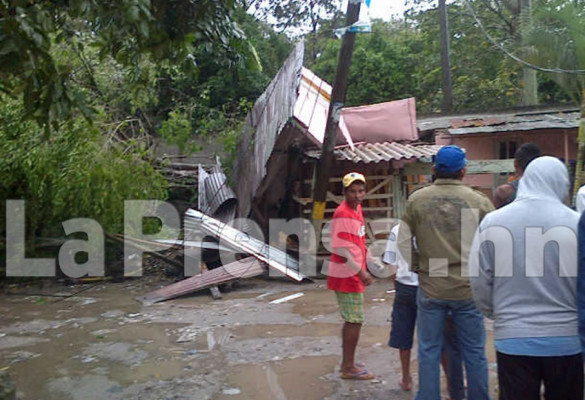 Fuertes vientos dejan árboles caídos en La Ceiba