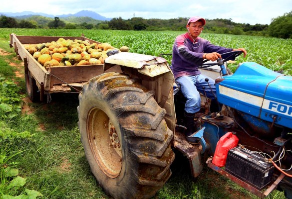 Brasil prestará a Honduras 90 millones de dólares para la compra de equipo agrícola