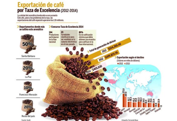 Café hondureño logra mejor precio promedio de venta de la región