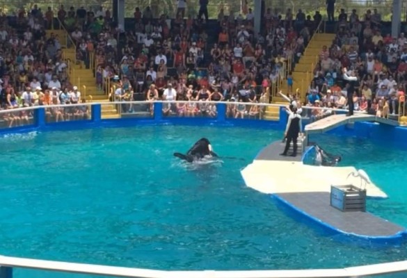 Andy Nájar disfruta de show acuático en Miami