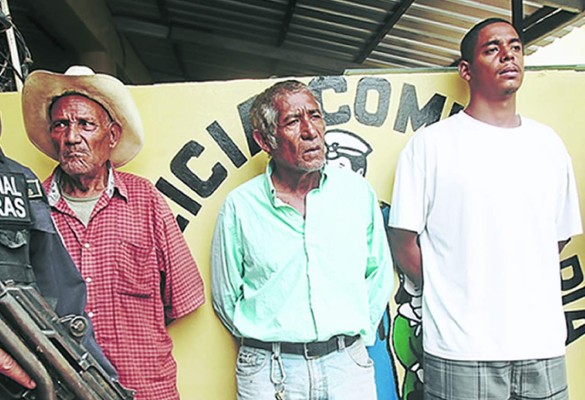 Decomisan 3,500 plantas de marihuana en Honduras