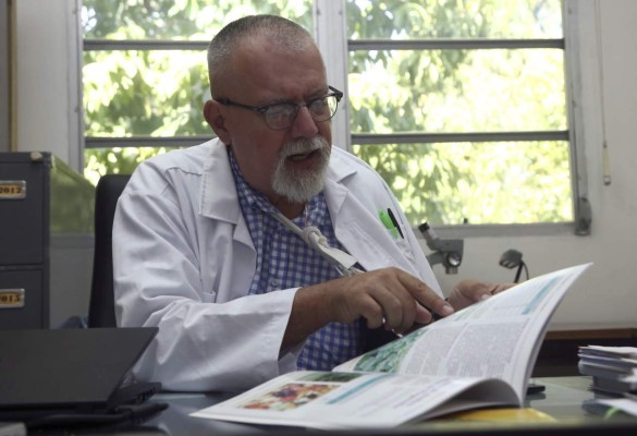 Menos palma y más maíz y frijoles, recomienda experto